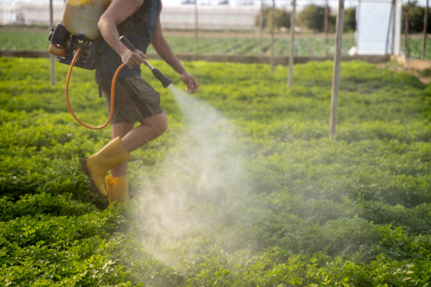 Best Mosquito Control Services  in Brandywine, MD