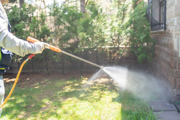 Best Best Pest Control Companies  in Brandywine, MD