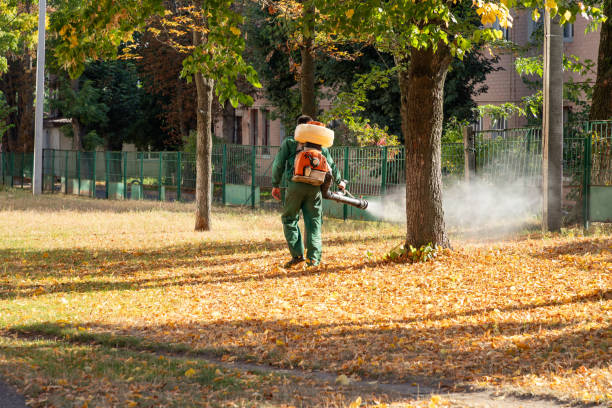 Best Best Pest Control Companies  in Brandywine, MD
