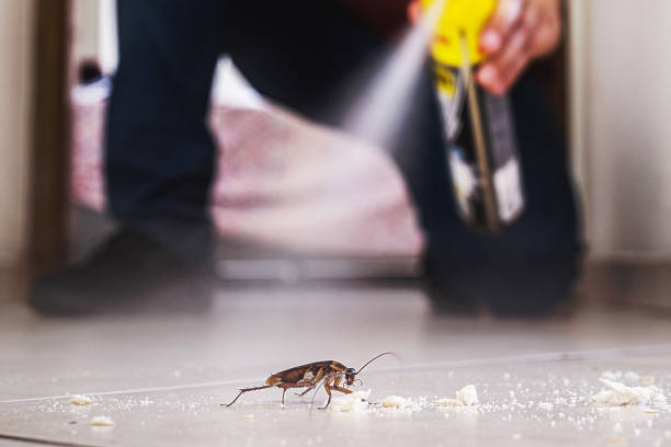 Best Residential Pest Control  in Brandywine, MD