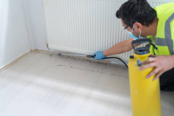 Best Pest Prevention Services  in Brandywine, MD