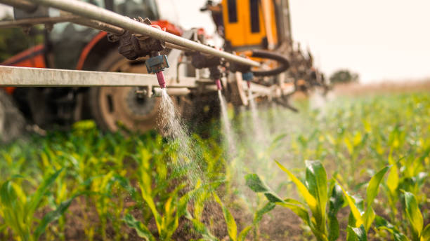 Best Commercial Pest Control Services  in Brandywine, MD