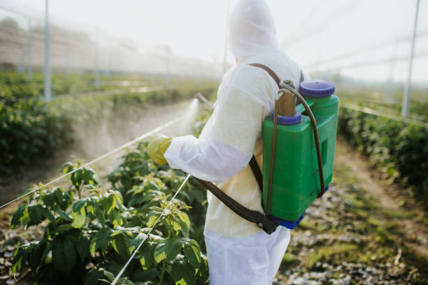 Best Wildlife Control Services  in Brandywine, MD